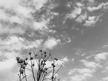 Low angle view of bare trees against cloudy sky