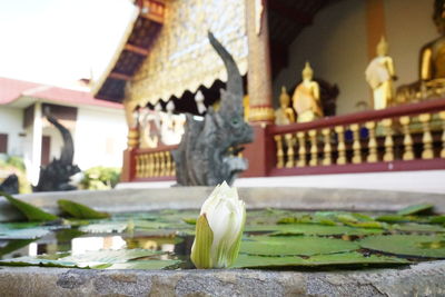 Statue against temple
