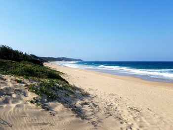 Scenic view of beach against clear blue sky