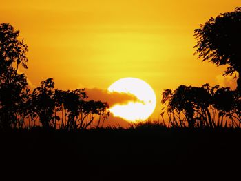 Silhouette trees against sunset sky