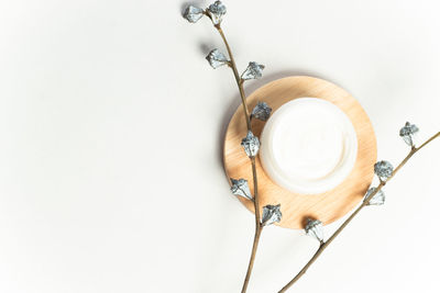 High angle view of tea on table against white background