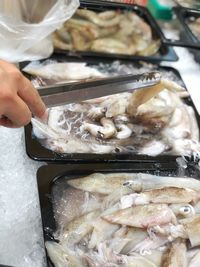 Close-up of hand holding fish