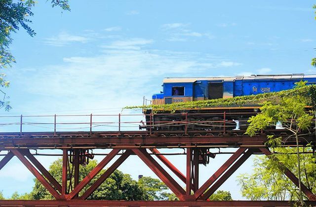 built structure, architecture, sky, tree, low angle view, metal, blue, connection, railing, building exterior, day, bridge - man made structure, outdoors, metallic, no people, cloud - sky, sunlight, cloud, growth, nature