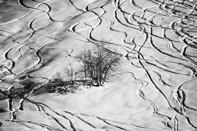 Bare trees on snow covered land with ski tracks