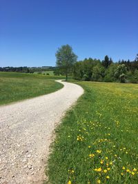 Scenic view of field against clear blue sky