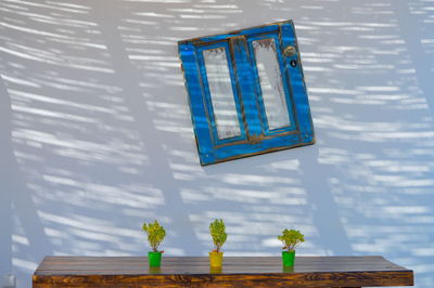 High angle view of potted plants on table against wall