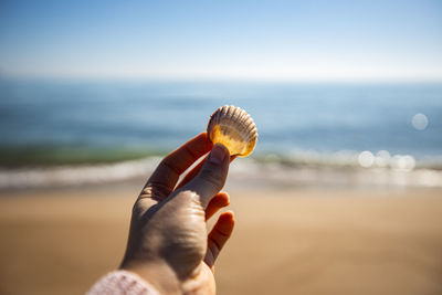 Close-up of hand holding shell at beach against sky