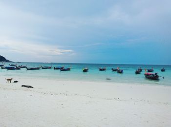 View of boats on beach