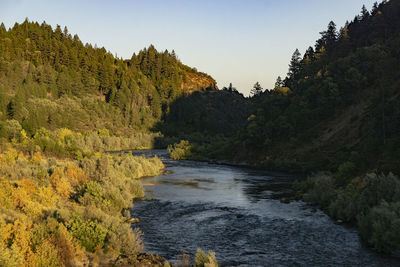 Scenic view of river amidst trees against sky