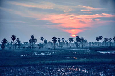 Panoramic view of field against sky during sunset