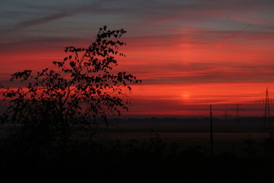 Silhouette tree on landscape against sky during sunset