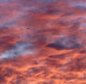 Low angle view of orange clouds in sky