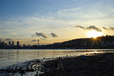 View of beach against sky during sunset