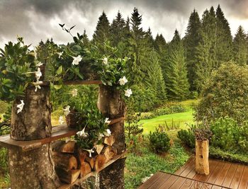 Plants by trees against sky