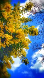 Low angle view of trees against blue sky