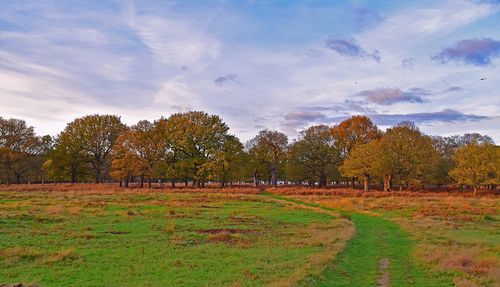 Scenic view of field against cloudy sky