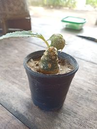 High angle view of ice cream in pot on table