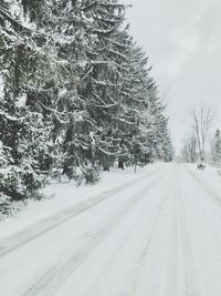 Road amidst trees against sky during winter