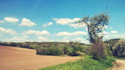 Scenic view of field against cloudy sky