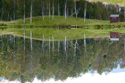 Reflection of trees in lake