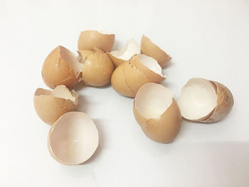 High angle view of eggs against white background