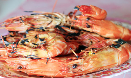 Close-up of prawns in plate