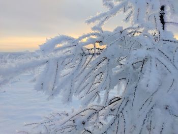 Snow covered field against sky