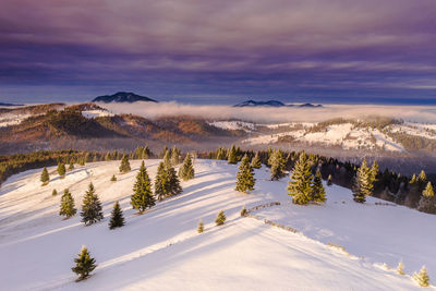 Scenic view of snow covered landscape against sky during sunset