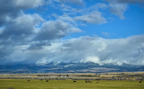 Scenic view of a montana landscape against sky