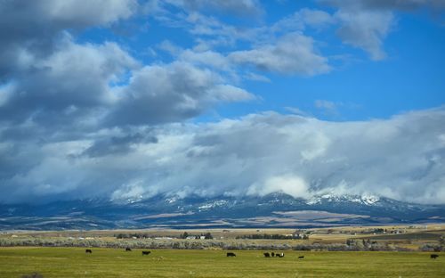 Scenic view of landscape against sky