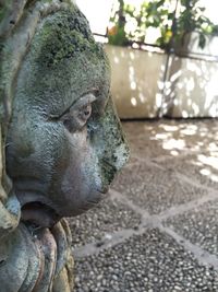 Close-up of elephant statue against trees