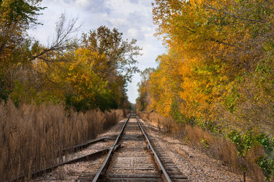 Railroad tracks amidst trees against sky