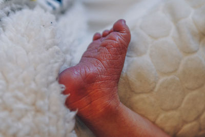 Low section of person wearing shoes