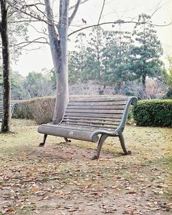 Empty bench in park