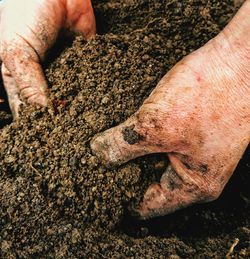 Close-up of human hand