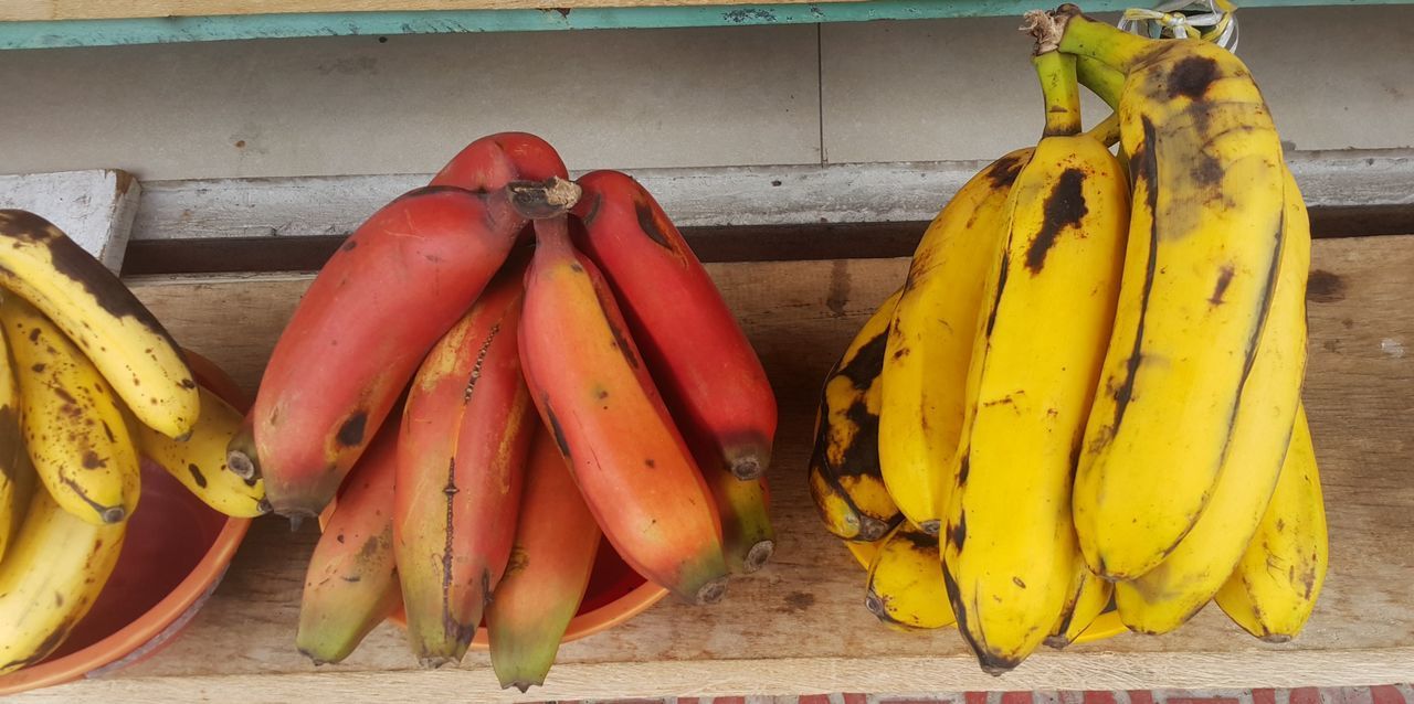 HIGH ANGLE VIEW OF FRUITS ON FIELD