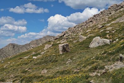 Landscape of the side of a mountain at 14,000 feet along the mount evans scenic byway in colorado