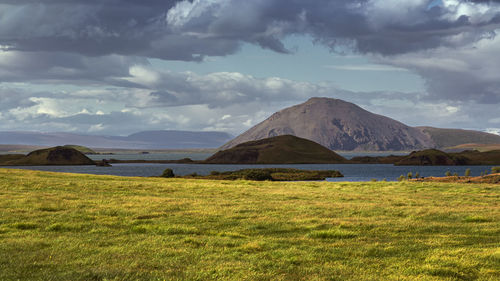 Scenic view of field against sky