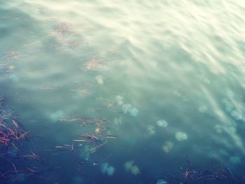 High angle view of reflection in lake