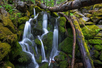 Scenic view of waterfall in forest