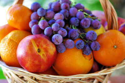 Close-up of fruits in basket