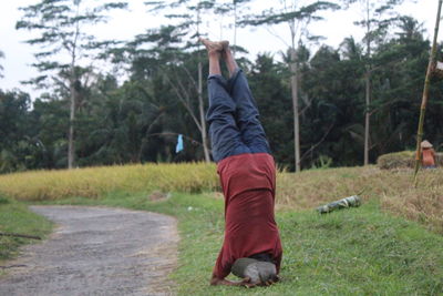 Rear view of man practicing headstand on grassy field against trees