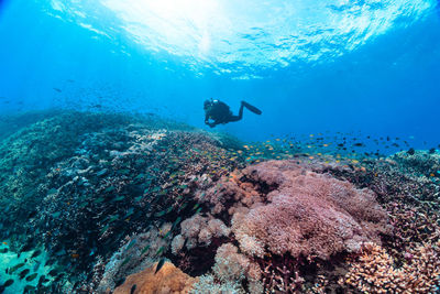 People swimming in sea