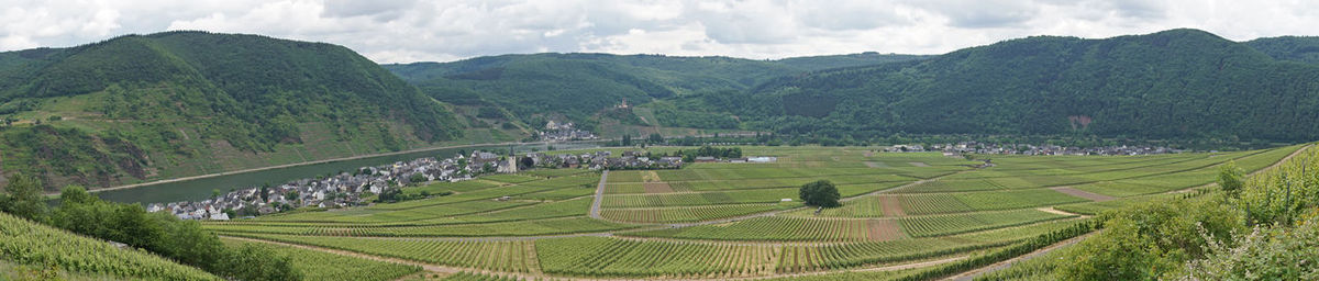 Panoramic view of agricultural field against mountains