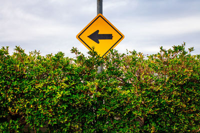 Traffic sign, go left stuck on a pole above the bushes