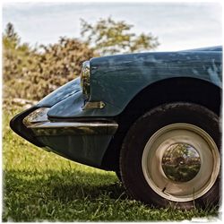 Close-up of vintage car on field