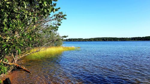 Scenic view of river against clear blue sky