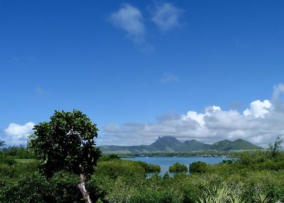 Scenic view of landscape against blue sky