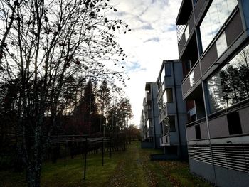 Trees in city against sky