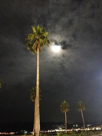 Low angle view of palm trees against sky at night